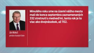 Vysoké Tatry si nevedia dať rady s medveďmi