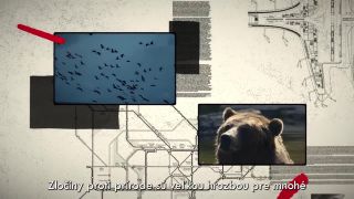 WWF: Projekt SWiPE spúšťa kampaň na boj proti envirokriminalite
