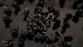 Smrť Bety - The Walking Dead