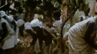Slniečko - Ovocie (1987)