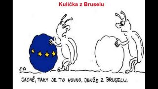 Dobrý den, sluníčko.