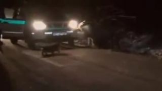 Slovenská polícia zastrelila medveďa (DRSNÉ ZÁBERY)