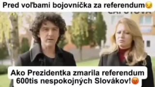 Predvolebná no - name kandidátka bojuje za referendum