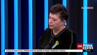 Psychologický rozbor Putina. Muž s mindráky z dětství i agresor