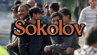 Romovia cz a vojna