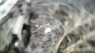 Ruská armádne vozidlo uviazlo v bahne