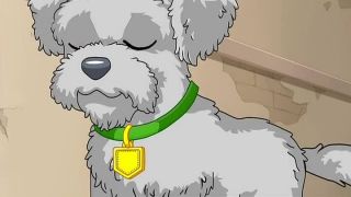 Puppy in my picket,S01E15