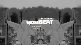 Malarkey - Cherub