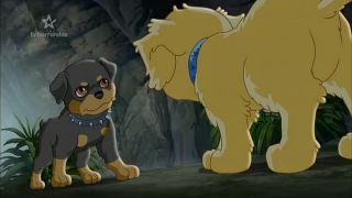 Puppy in my pocket,S01E30