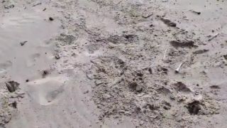 Huba plná piesku