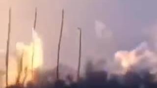 Putin, Rus, zviera
