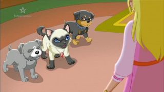 Puppy in my pocket,S01E40