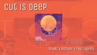 Blaikz x Robaer x Flip Capella - Cut Is Deep