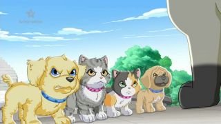 Puppy in my pocket,S01E51