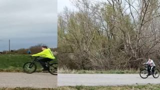 Králová nad Váhom Slovenské deti ktorú labut hádzajú s kamenom