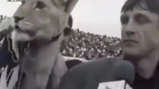 Simba sa dostal do živého vysielania