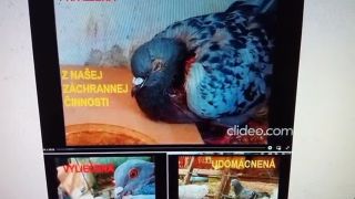 Duchovná a liečiteľská sila mojej ruky
