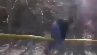 Superbolest