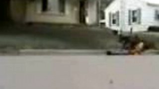 Zábavné video 13