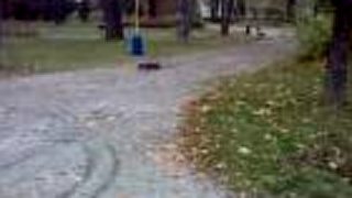 E Revo Park Letná