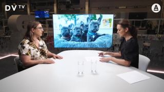 Mopsové se celý život dusí. Trpí a lidé si to neuvědomují