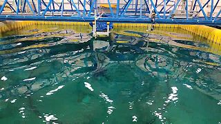 Počítačom riadená vlna v pokusnom bazéne na brazílskej univerzite