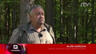 Premnožené medvede reportáž