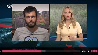 RTVS diskusia o medveďoch
