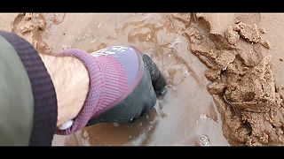 Najdi prsten v piesku - Nr.9 - zLaTo!!!