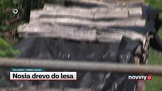 Ministerstvo životného prostredia pácha na vidieku obrovské škody
