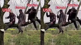 Pílim, píliš, pílime (chystáme drevo na zimu)