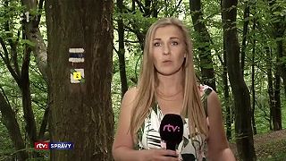 Ďalšie útoky medveďov. Došlo k nim na Hornej Nitre a v Kremnických vrchoch