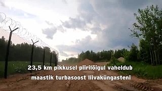 Plot v Estonsku