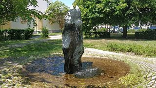 Juko56_20220602_122816