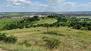 Juko56_20220617_151356