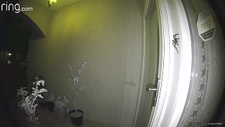 Bezpečnostná kamera zachytila o jednej ráno niekoho pri dverách