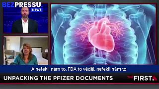 Pfizer dokumenty - zvýšená úmrtnost novorozenců.
Verejná doména