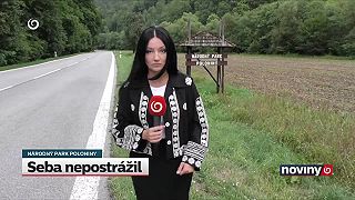 Strážca prírody šokoval. V piatom stupni ochrany zbieral čučoriedky