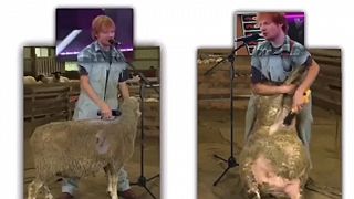 Ed Sheering