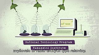 5G masový experiment