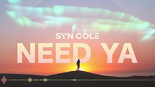Syn Cole - Need Ya