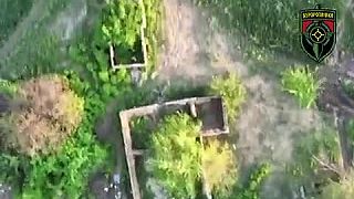 Dron popreháňal okupanta a preveril jeho kondíciu