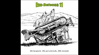 VA - Eco - Defense 11 (slovenský / český punk a hardcore) (2012)