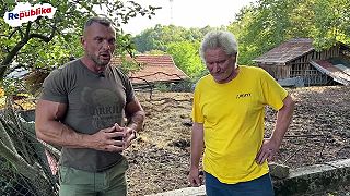 Ľudí v regiónoch terorizujú medvede