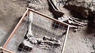 Obrovská ľudská kostra nájdená v jaskyni Khao Khanap Nam v Thajsku