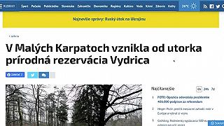 Prečo medveďov záhadne ubúda? Klamstvá ministerstva životného prostredia