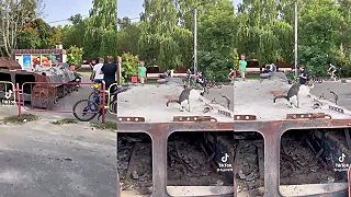 Mačka na výstave šrotu v Odese