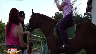 Farmár hľadá ženu - Miloš