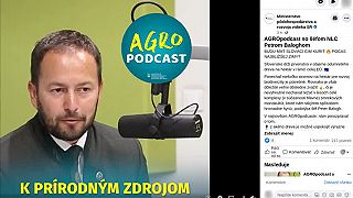 Budú mať Slováci čím kúriť počas najbližšej zimy? Odumreté drevo v NP