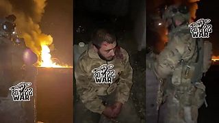 Kadyrov pes v zajatí